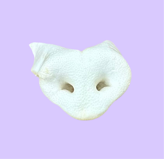 Pig Snout | Puffed