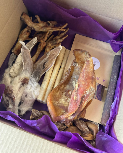 DAX'S MYSTERY BOX