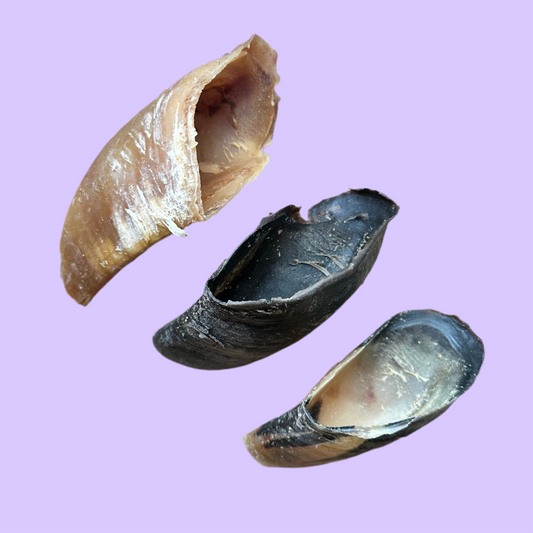 Cow Hooves