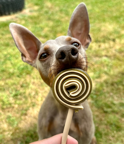 SWIRLY POPS | 4 COLOURS