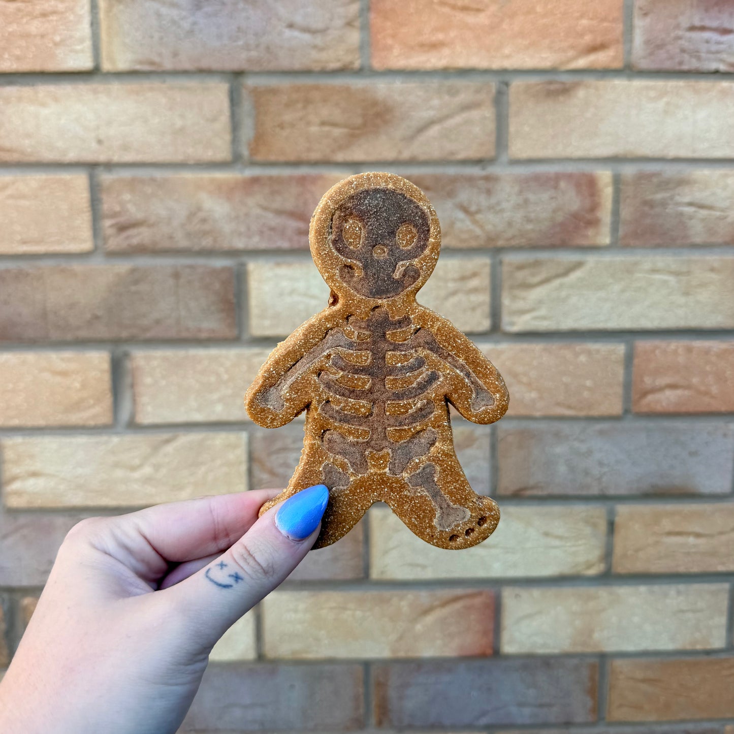CAROB SKELETON BISCUIT