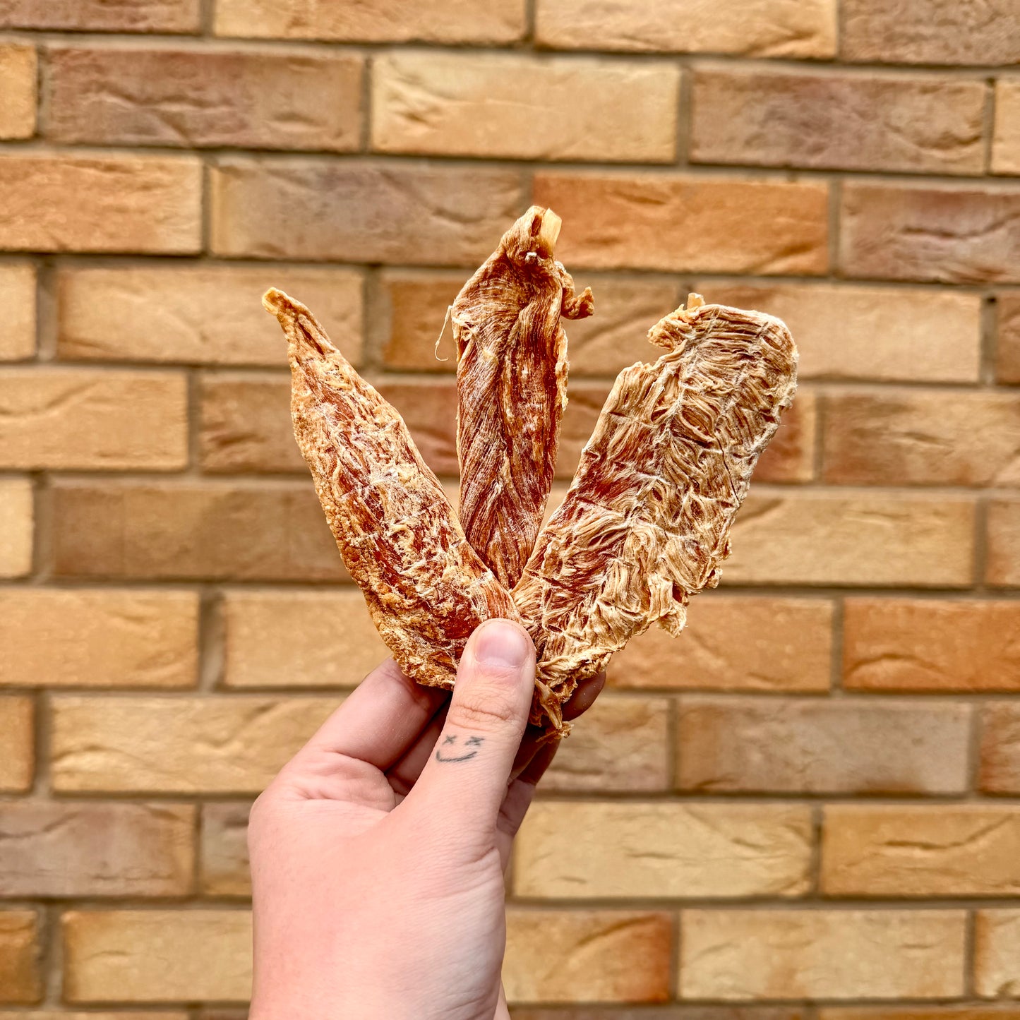 AIR DRIED CHICKEN JERKY