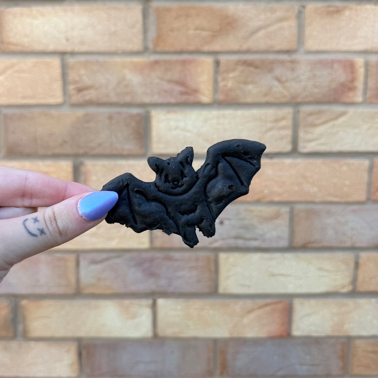 CHARCOAL BAT BISCUIT