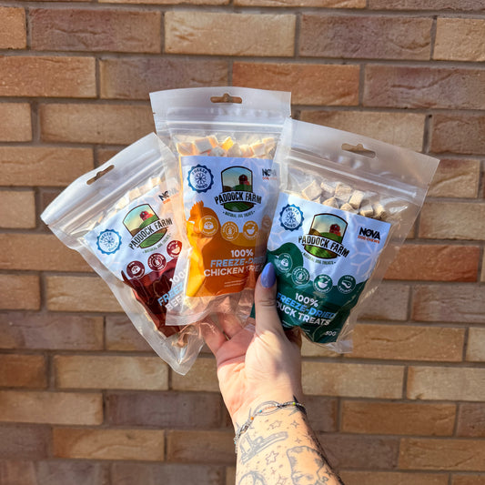 FRIDAY FANCIES | FREEZE DRIED CUBES