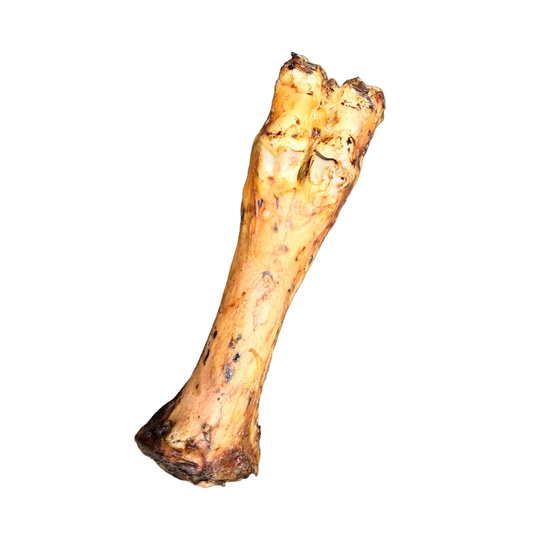 AIR DRIED BEEF LEG BONE