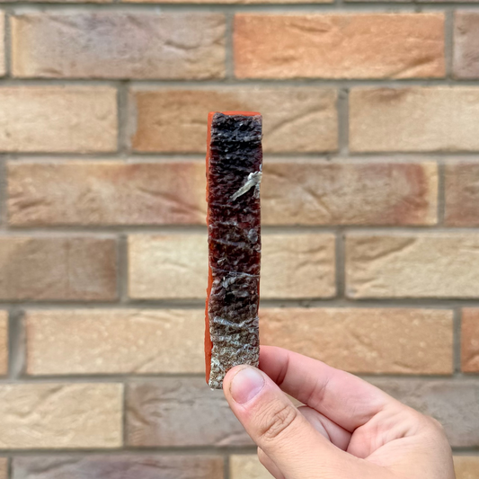 DUCK STRIPS WITH FISH SKIN