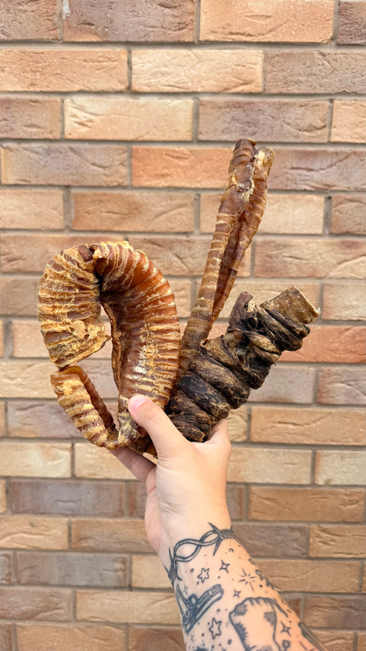 ~ FIVER FRIDAY ~ TRACHEA TRIO