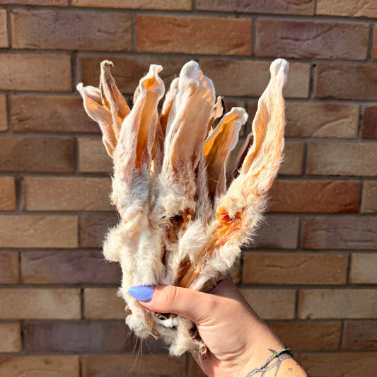 FRIDAY FANCIES | FLUFFY BUNNIES