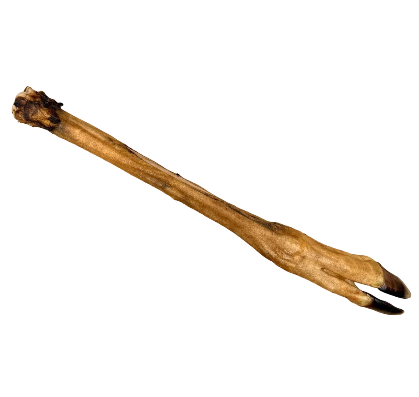HAIRLESS ROE DEER LEG
