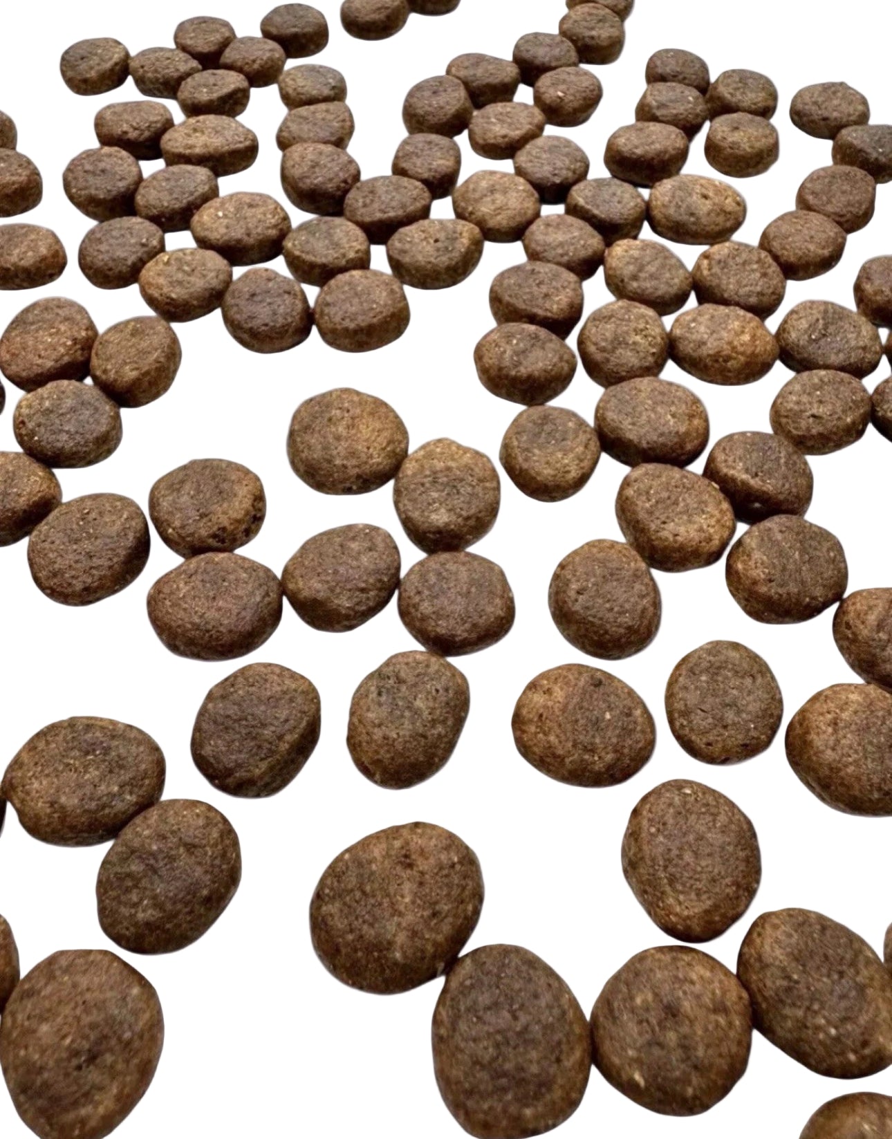 Insect Nibbles | 100g