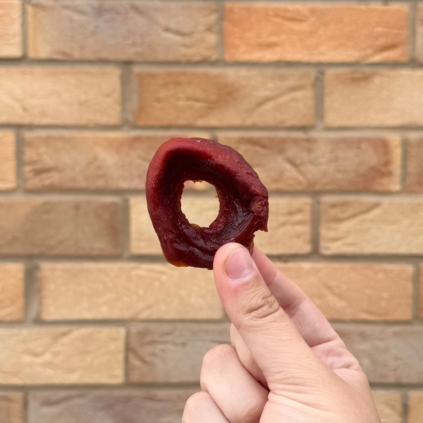 DUCK WRAPPED FISH DONUT