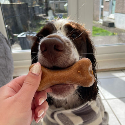 PEANUT BUTTER CHEESE BONE