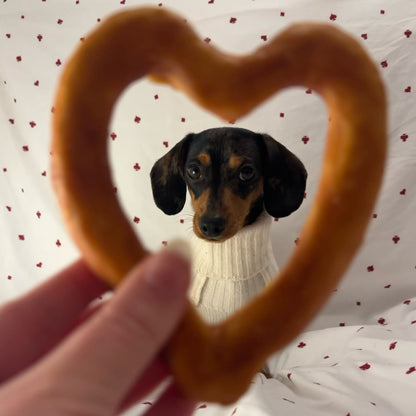 CHICKEN COATED COLLAGEN HEART