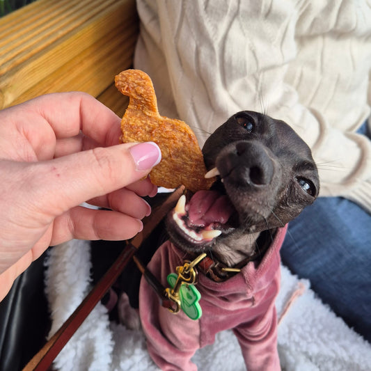 DUCK DINO NUGGIES