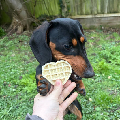 BUFFALO COLLAGEN HEART WAFFLE | 2 SIZES