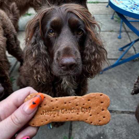 PEANUT BUTTER BISCUITS | HAPPY BIRTHDAY & GOTCHA DAY
