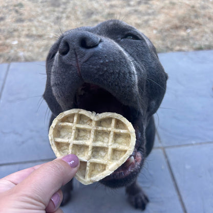 BUFFALO COLLAGEN HEART WAFFLE | 2 SIZES