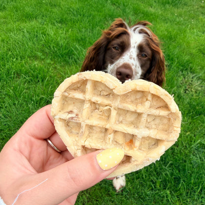 BUFFALO COLLAGEN HEART WAFFLE | 2 SIZES