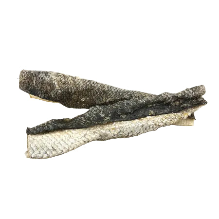 SALMON SKIN
